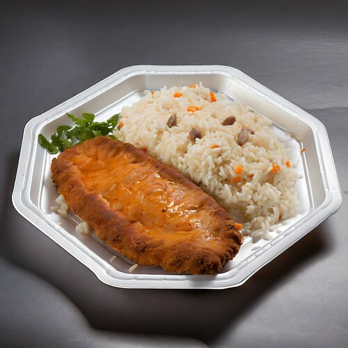 Firefly shnitzel and rice on plastic plate 20528