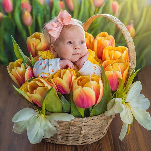 Firefly newborn baby in a tulip anne geddes style 59799