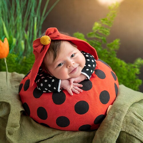 Firefly newborn baby dressed up as a ladybug anne geddes style 5520