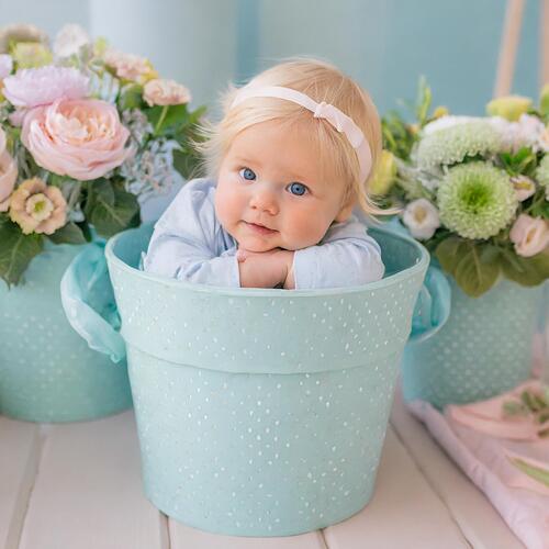 Firefly Anne Geddes style newborn baby in flower pot 47866